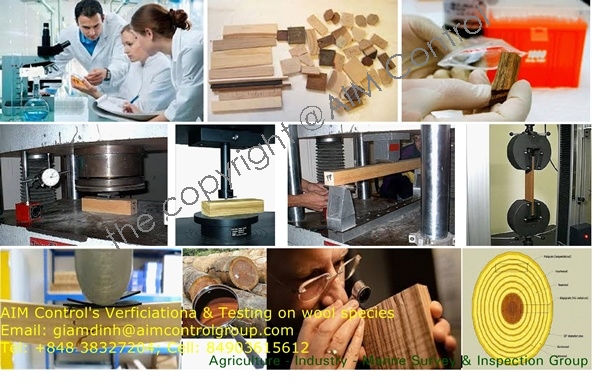 Wood_timber_name_species_certificate_and_quality_inspection