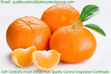 Fresh_Citrus_Fruit_Quality_Control_Inspection_Certification_AIM_Control