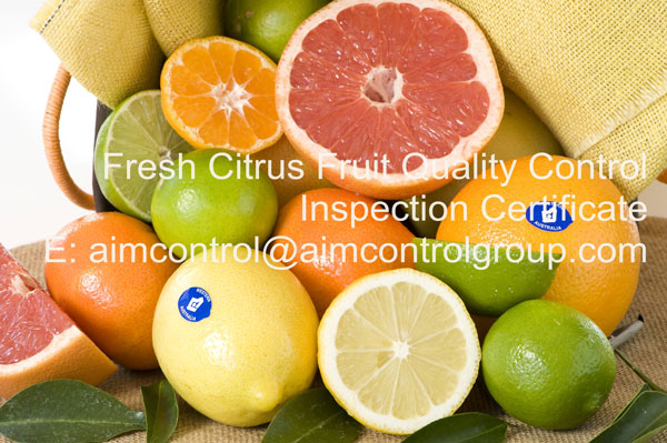 Fresh_Citrus_Fruit_Quality_Control_Inspection_Certificates_AIM_Control