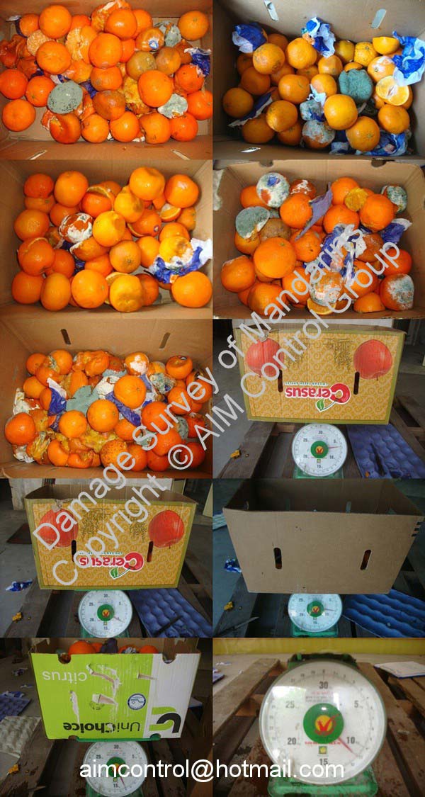 Mandarine_Fresh_Citrus_Fruit_Quality_Control_Inspection_Certificate_VN_Asia
