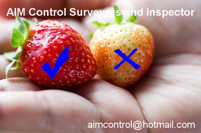 Fruit_inspection_and_vegetable_quality_control_CERTIFICATE