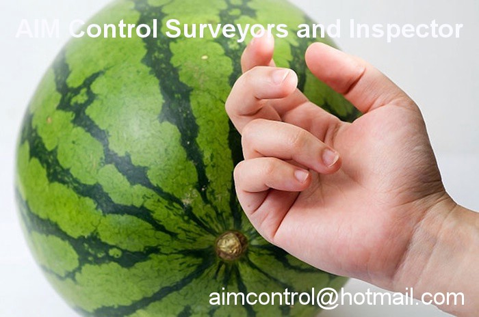 Fruit_inspection_and_vegetable_quality_control_certification
