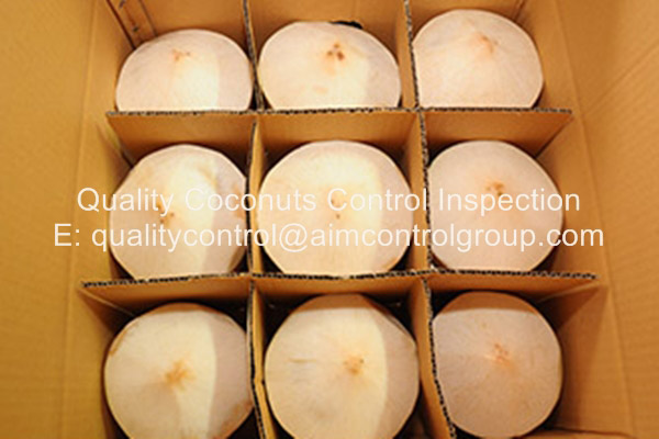 Quality_Coconut_Control_Inspection_packing_stuffing