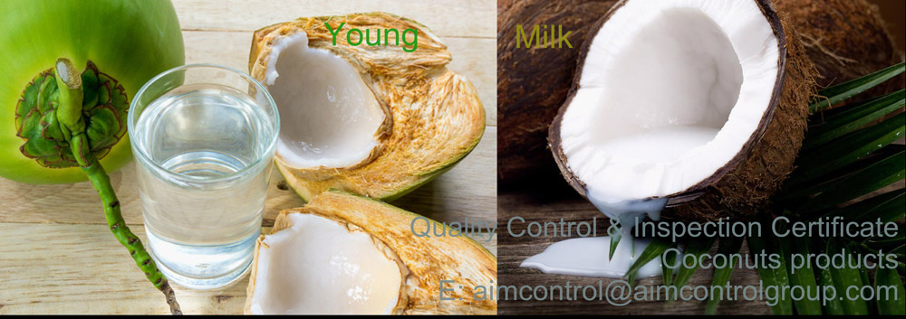Quality_Coconuts_Control_Inspection