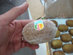 Import_Kiwi_Fruit_Quality_Control_Inspection
