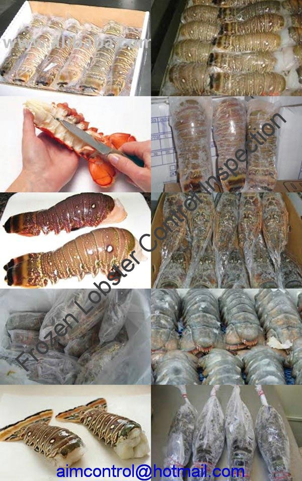 Frozen_Lobster_food_product_quality_inspection_certificate_AIM_Control