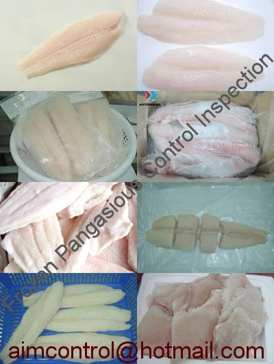 Frozen_Pangasious_food_product_quality_inspection_certification_AIM_Control-3
