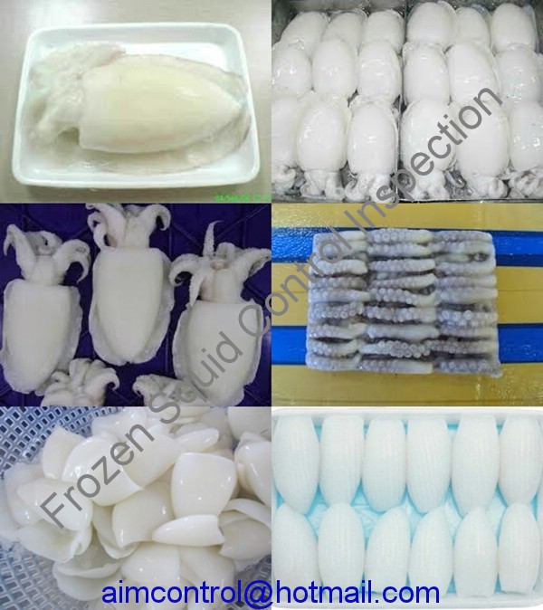 Frozen_Squid_food_product_quality_inspection_certification_AIM_Control-01