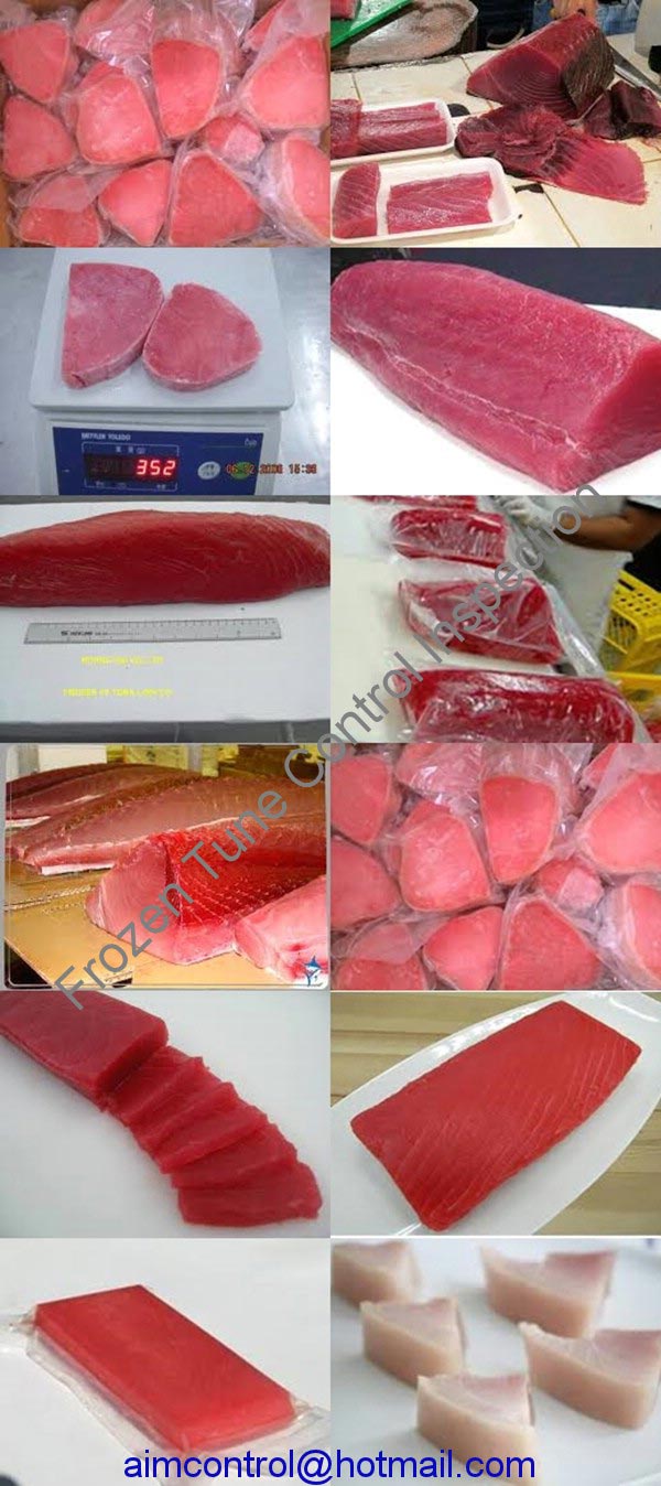 Frozen_Tuna_food_product_quality_inspection_certificate_AIM_Control-8