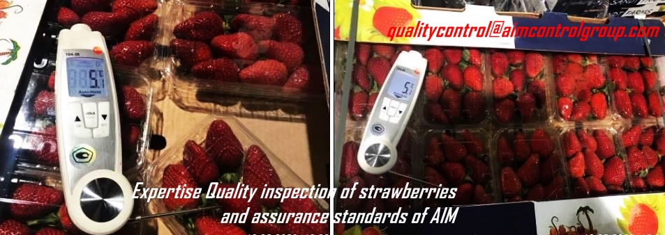 Storage_Quality_strawberries_assurance_standards_Expertise_Quality_inspection