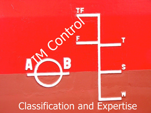 Classification_and_Expert_AIM_Conrtol_Inspection_Group_