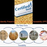 Identity Preservation Programme and Traceability