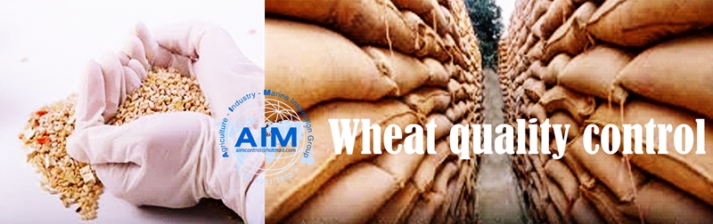 Wheat-quality-control-services