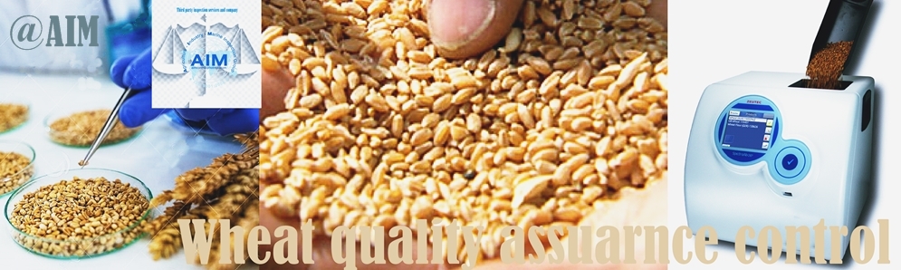 Wheat-quality-inspection-assurance-services