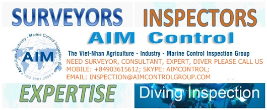 AIM_Marine_Surveyor_Inspector_Diver