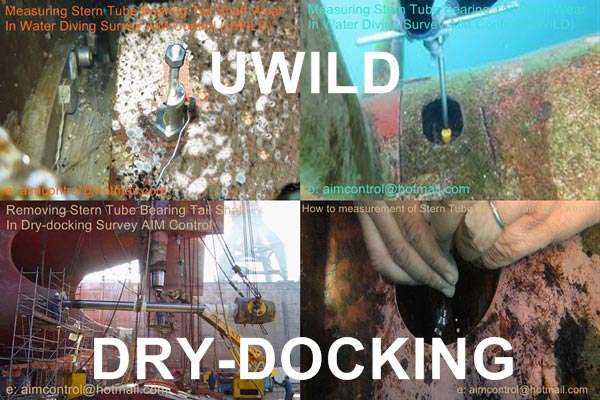 UWILD_ship_diving_inspection_in_Vietnam