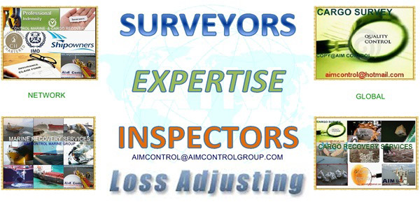 Insurance_survey_services_for_insurance_companies_AIM_Control_Inspection_Group
