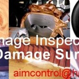 Damage survey services