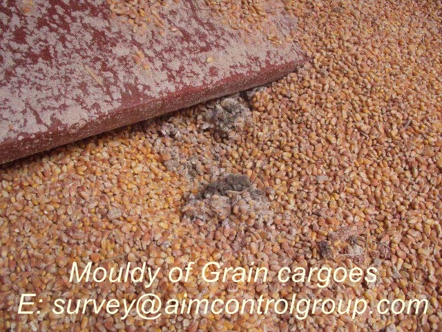 Mouldy_cargo_loss_prevention_for_grain_cargoes