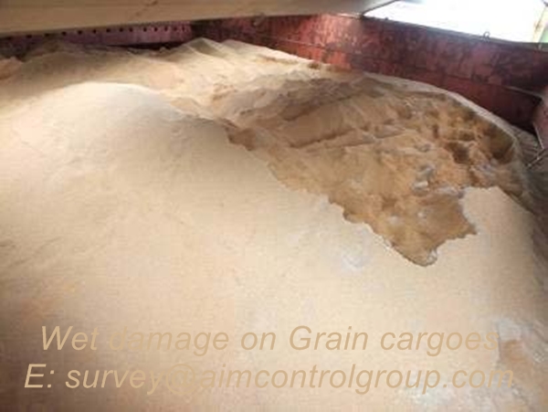 wet_damage_loss_prevention_for_grain_cargoes