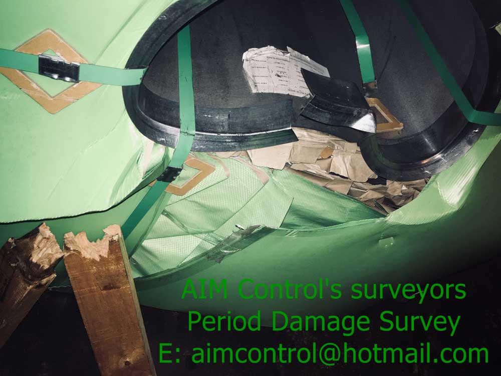 Tally_survey_Damage