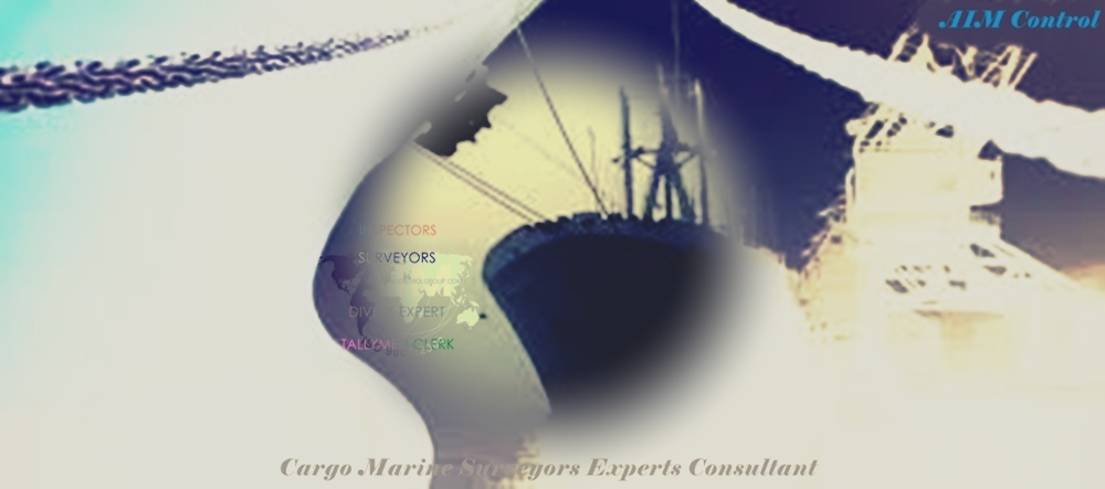 Cargo_Vessel_Ship_Underwriter_surveyor_consultant_on_claim_dispute_2