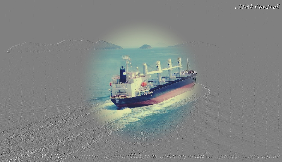AIM_ship_seaworthiness_surveyors