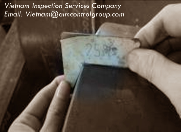Vietnam_inspector_surveyor_tally_men_investigator_Inspection_Services_Company_8