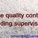 Weight survey Quantity Tally Quality inspection for Vietnam Cargo White Rice 