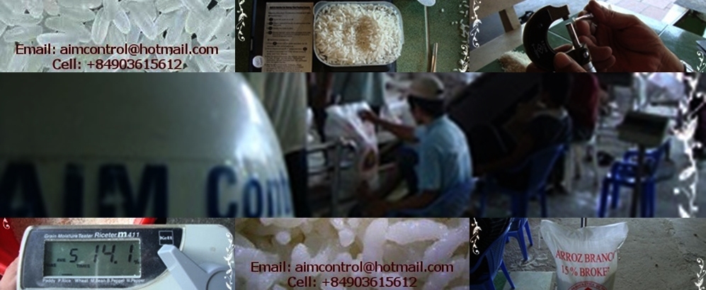 weight_survey_quantity_tally_quality_inspection_for_vietnam_cargo_white_rice_loading