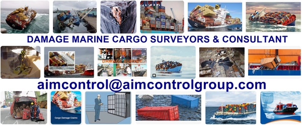 Damage_Marine_Cargo_Surveyor