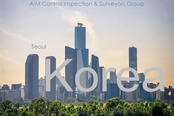 South_Korea_inspection_and_surveyors_Seoul