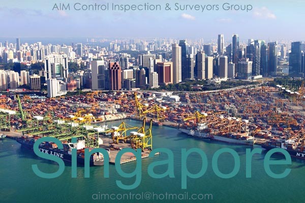 Singapore_inspection_and_surveyors_at_porrts_container