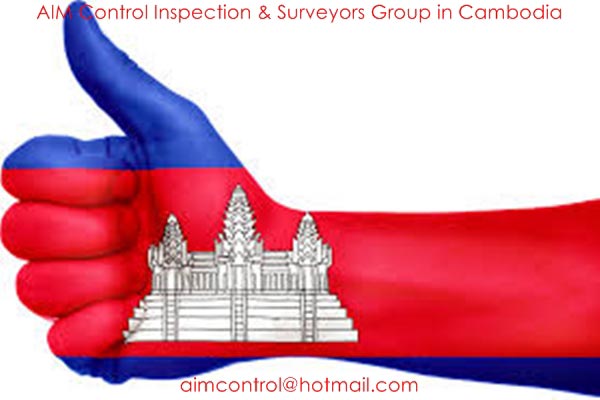 Survey_inspection_in_Combodia
