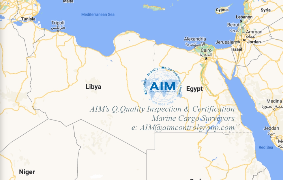 Egypt_quality_inspection_marine_cargo_surveyor