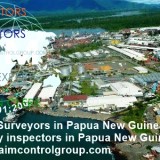 Marine Survey and Cargo Quality inspection in Papua New Guinea