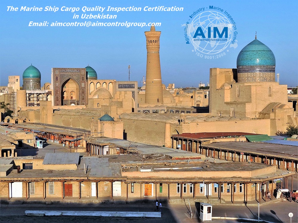 transit_marine_ship_cargo_inspection_expertise_in_uzbekistan