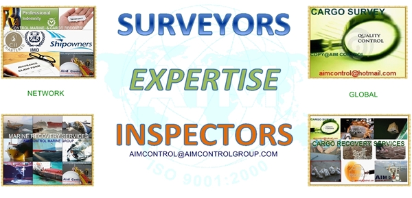 Surveyors_Expertise_InspectorsSURVEYOR_EXPERTISE_INSPECTORS_AIM