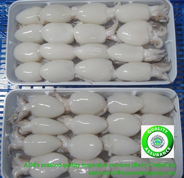 AIMs_seafood_quality_inspection_services_Baby_Cuttlefish