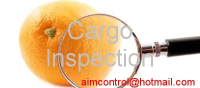 cargo_inspection_services_and_Certification_AIM_Control