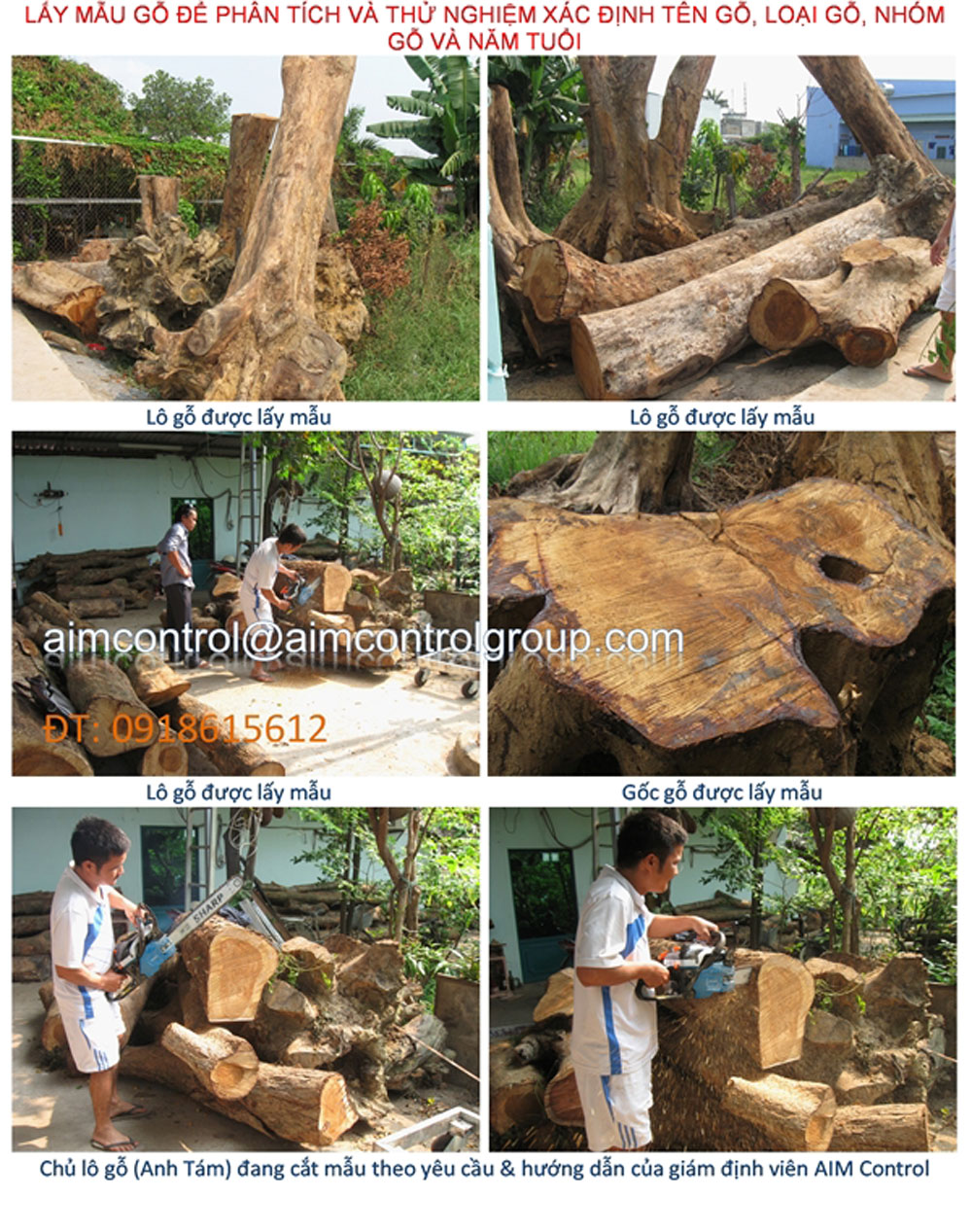 Wood_timber_name_species_certificate_and_quality_inspection - at site