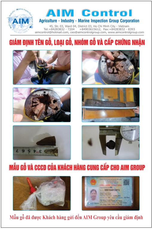 giam-dinh-chat-luong-go-much-dich-tho-tu-AIMGroup2_2