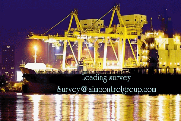 Shipping_loading_surveyor_Tallying_quality_control_Certification_services_AIM_Control