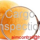 Cargo Inspection / Cargo Survey