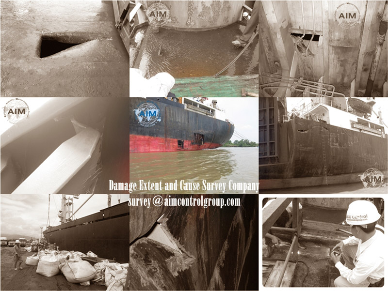 Thiệt hại-Mức độ-và-Nguyên nhân-Khảo sát-điều tra viên-trong-tàu-tàu-yêu cầu