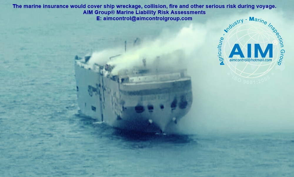 covering_ship_wreckage_collision_fire_and_other_serious_risk_during_voyage