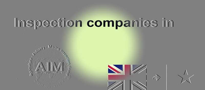 the_inspection_company
