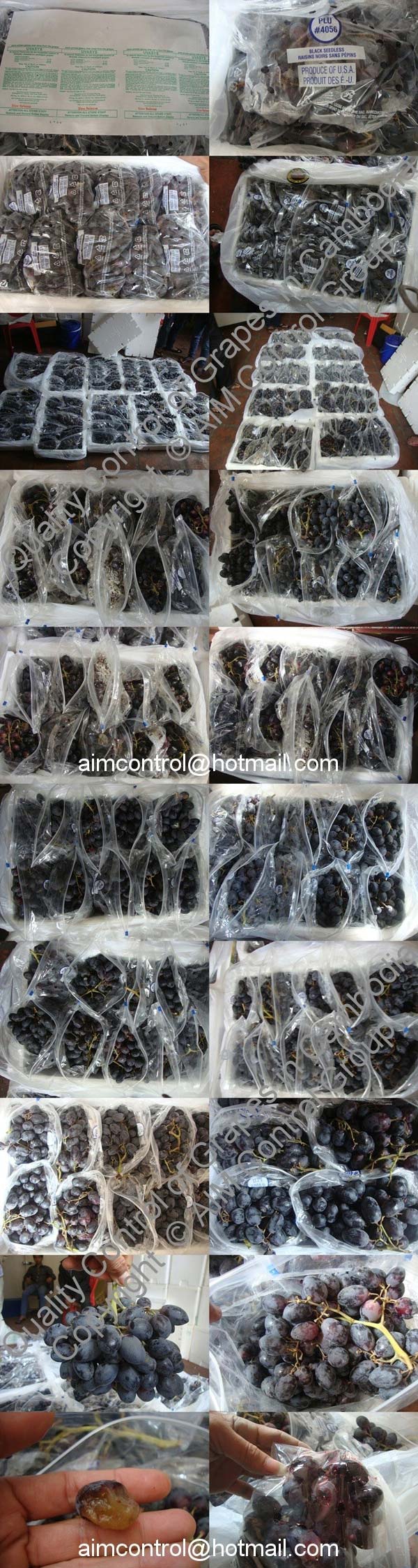Fruit_inspection_vegetable_quality_control_claim_in_Asia