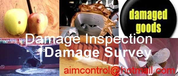 cargo_and_goods_inspection_DAMAGE_SURVEYS_AIM_Control