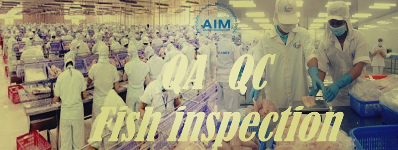 AIM-frozen-fish-fillet-quality-control-inspection